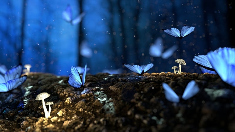 Enchanted Clearings